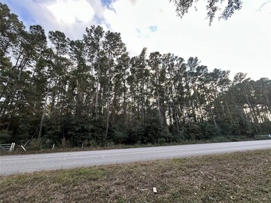 28655 Joseph Rd, Hockley, TX 77447 - photo 3