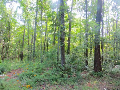 262 Wedgewood Ln, Mammoth Spring, AR 72554 - photo 5