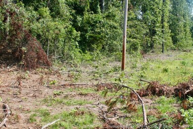 0 Laurinburg Road Hwy S unit 638026, Raeford, NC 28376 - photo 4