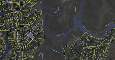 3308 the Lookout, Johns Island, SC 29455 - photo 2