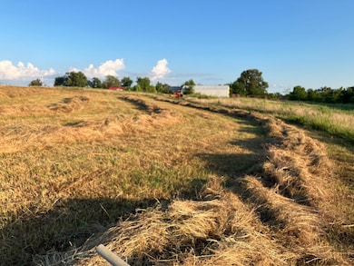 0 W Fairview Rd unit 24344957, Salem, AR 72576 - photo 3