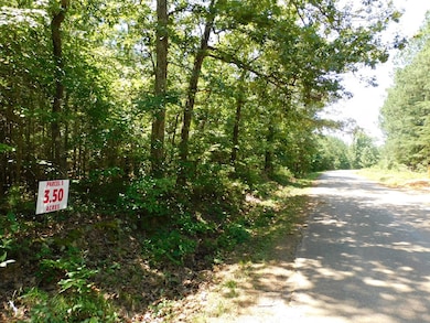 3.50 AC Neals Corner Rd, Clover, VA 24534 - photo 5