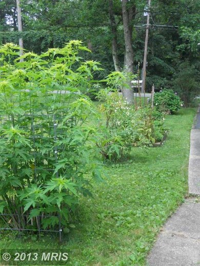 9640 Sharon Ave, La Plata, MD 20646 - photo 7