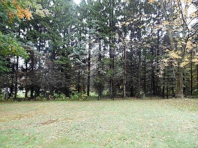 Land/Lot.