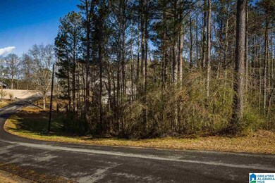 0 Scenic Trail unit 21411084, Oneonta, AL 35121 - photo 5