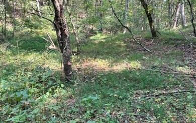 Additional View
