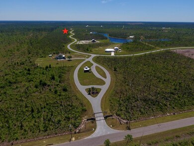 Aerial View of Community Entrance