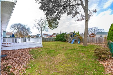 Back Yard (1)