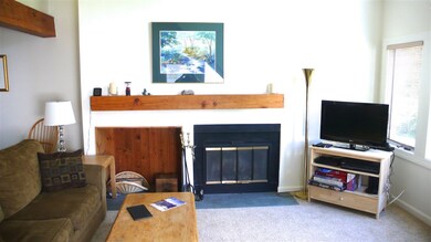 81 Osceola Rd unit 10, Waterville Valley, NH 03215 - photo 4