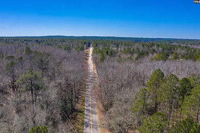 442 Savany Hunt Creek Rd, Gaston, SC 29053 - photo 6