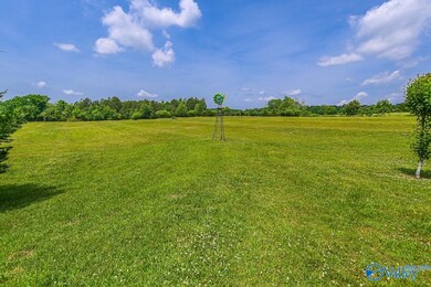356 Choat Rd, Grant, AL 35747 - photo 7