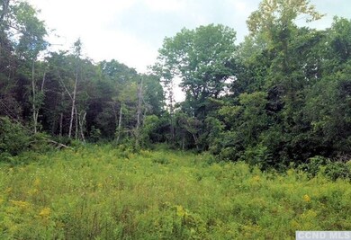 0 County Route 6 unit 105501, Clermont, NY 12526 - photo 6