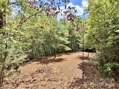 0 Sometimes Creek Rd, Sylva, NC 28779 - photo 6