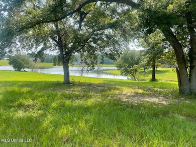 Lot 21 Gracies Way, Lucedale, MS 39452 - photo 2