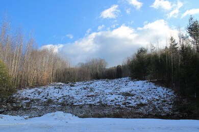 104 Crooked Mountain Rd unit 118-22, Lincoln, NH 03251 - photo 4