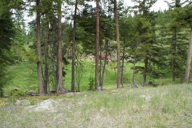 1100 Spring Hill Rd, Kila, MT 59920 - photo 7