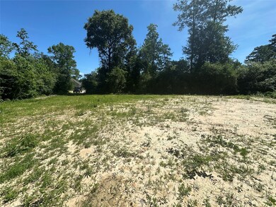 25002 Rhett Butler Ct, Tomball, TX 77375 - photo 3