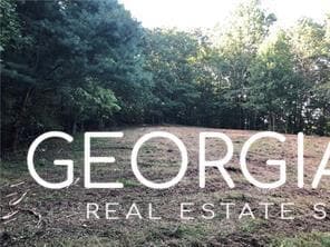 4143 Talking Rock Rd, Talking Rock, GA 30175 - photo 5