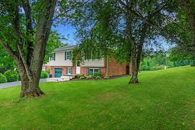 Side yard