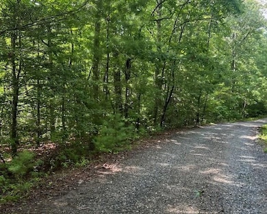 0 Hillbilly Holler unit 7429512, Blue Ridge, GA 30513 - photo 4