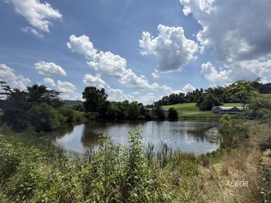 pond