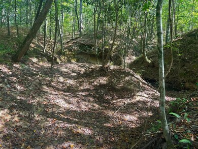 McDonald Rd, Florence, MS 39073 - photo 5