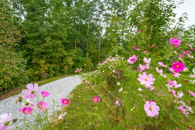 443 Back Valley Rd, Chickamauga, GA 30707 - photo 6