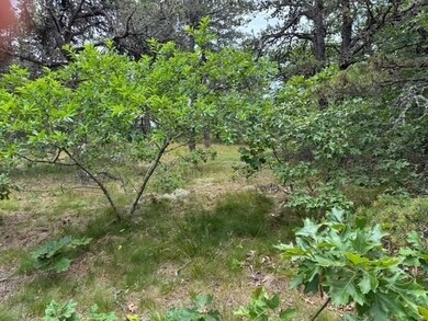 6 Long Nook Ln, Truro, MA 02652 - photo 3