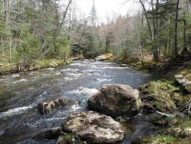 0 Bog Rd unit 4644596, Belvidere Center, VT 05442 - photo 6