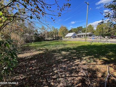 570 E St Peter St, New Iberia, LA 70560 - photo 4