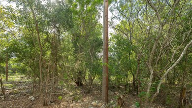 View of undeveloped land