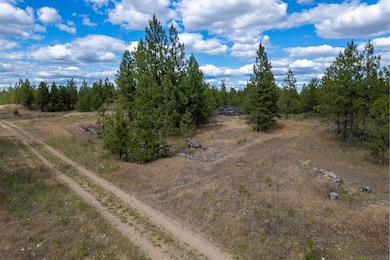 35410 Prairie Ln N unit Lot 4, Creston, WA 99117 - photo 4