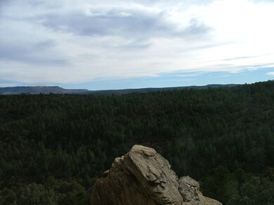 33785 Hiddenwood Ln unit C52, Trinidad, CO - photo 6