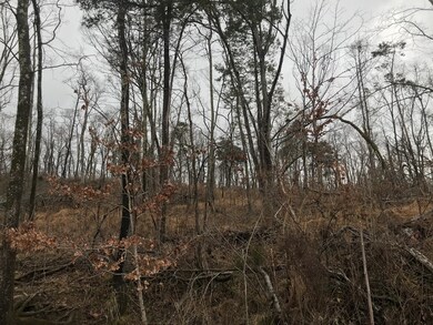 2 Alf Harris Rd, Prospect, TN 38477 - photo 2