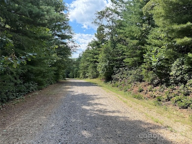 Lot 163 is on both sides of Staghorn Road