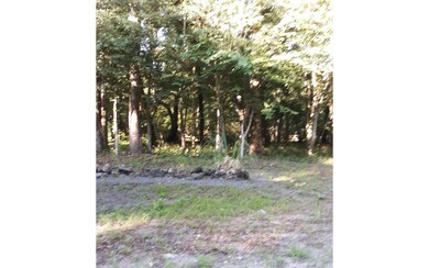 LOT39 Santa fe Dr, Fort White, FL 32038 - photo 2