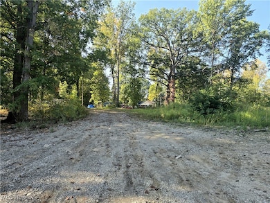 10745 Leffingwell Rd, North Benton, OH 44449 - photo 2