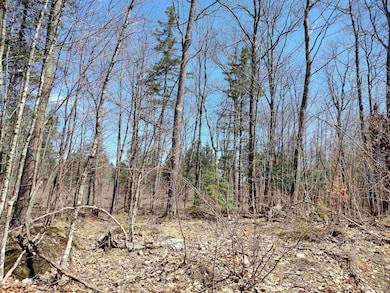 TBD Black Creek (West) Rd, Skanee, MI 49962 - photo 5