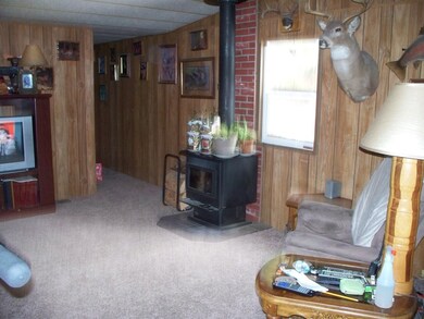 WOODSTOVE