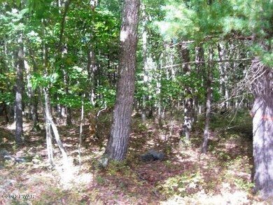 Lot 692 Club House Dr, Lackawaxen Township, PA 18428 - photo 4