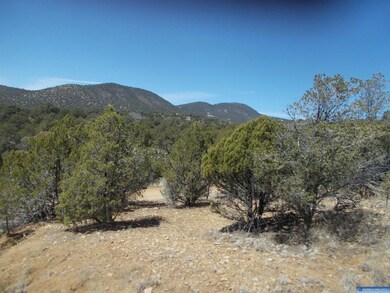 xx Oxbow, Silver City, NM 88061 - photo 5