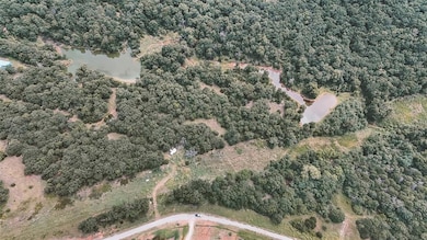 0 E Scissortail Dr, Chandler, OK 74834 - photo 3