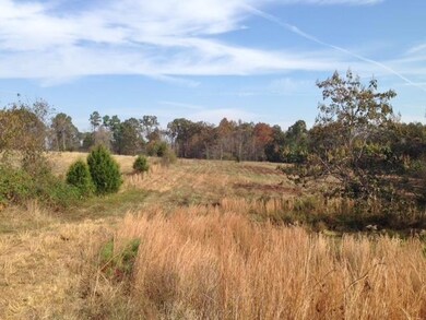 3770 Pollard Rd, Walling, TN 38587 - photo 6