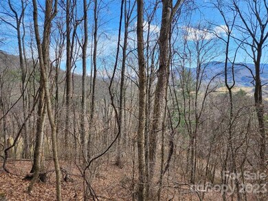 00 Mountain View Rd unit 2, Burnsville, NC 28714 - photo 5