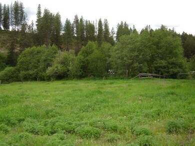 PASTURE