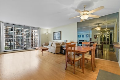 Thorndale Beach South Condominiums unit 9F, Chicago, IL 60660 - photo 3