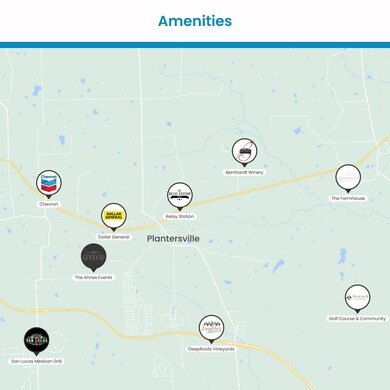 00 Live Oak Dr, Plantersville, TX 77363 - photo 7