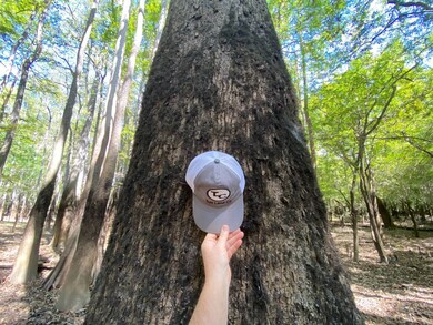 0 Reynolds Rd, Tensaw, AL 36579 - photo 4