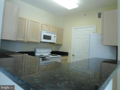 1580 Spring Gate Dr unit 4408, McLean, VA 22102 - photo 2