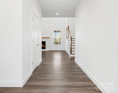 690 Settlers Trail, Mars Hill, NC 28754 - photo 5